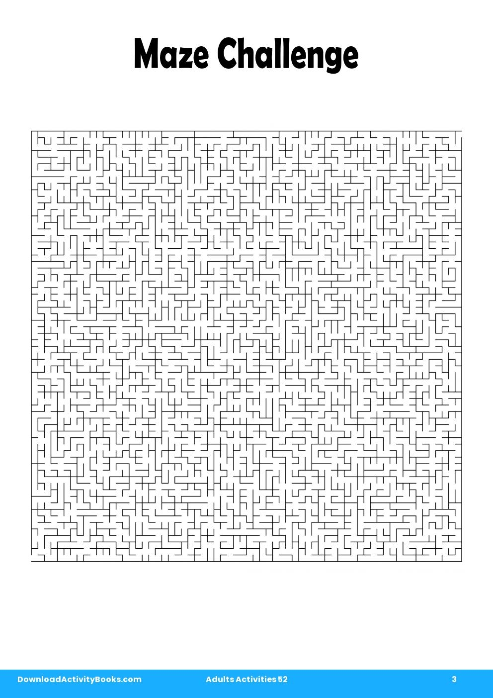 Maze Challenge in Adults Activities 52