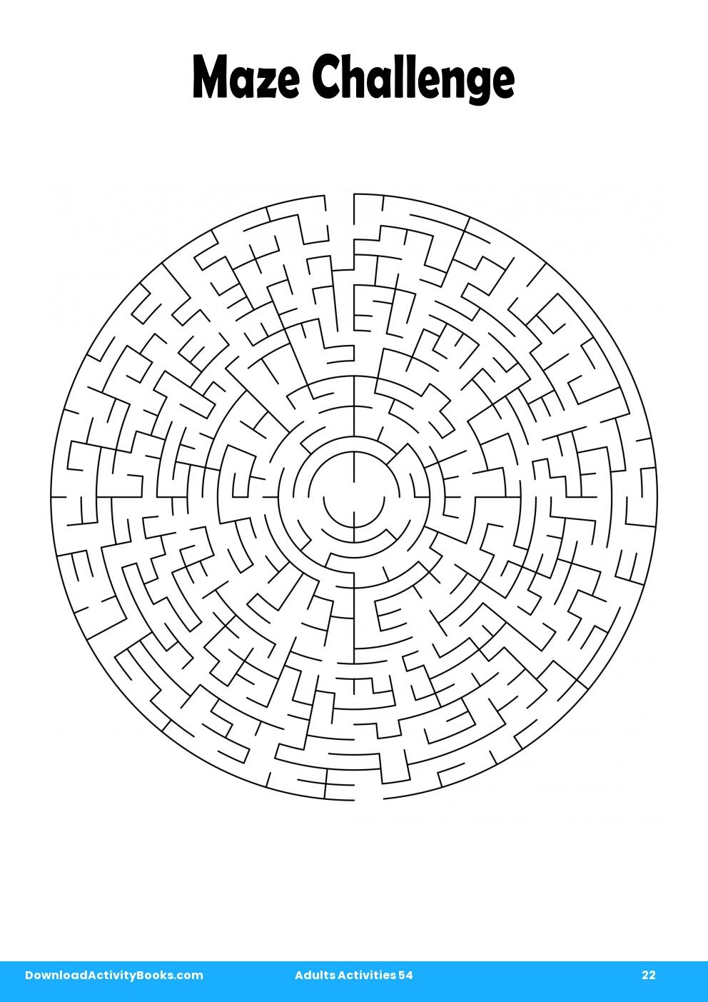 Maze Challenge in Adults Activities 54