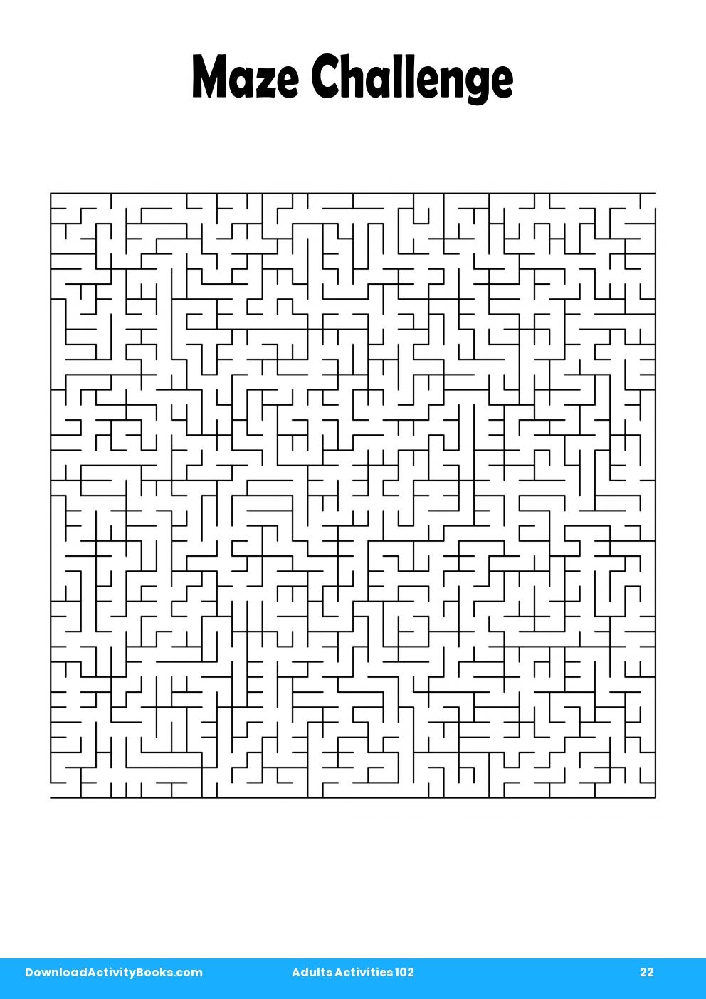 Maze Challenge in Adults Activities 102