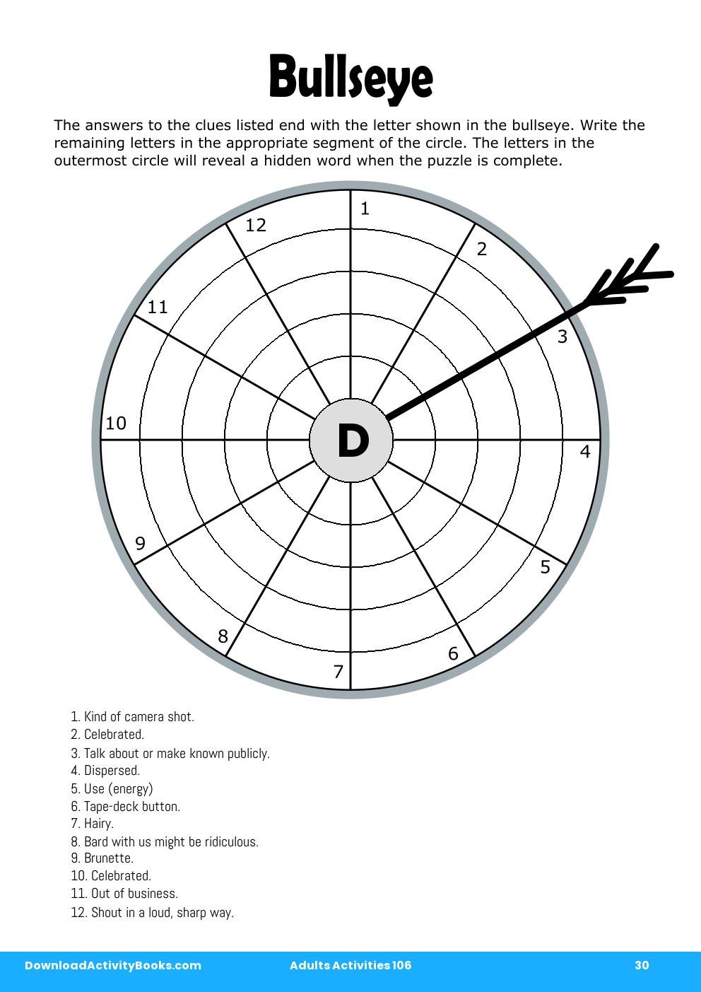 Bullseye in Adults Activities 106
