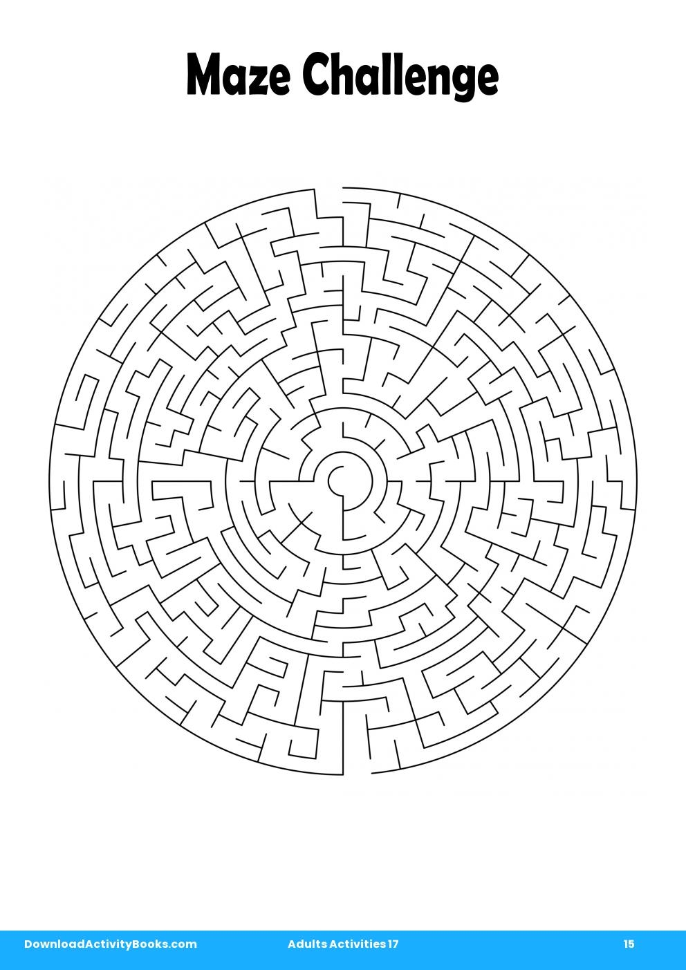 Maze Challenge in Adults Activities 17