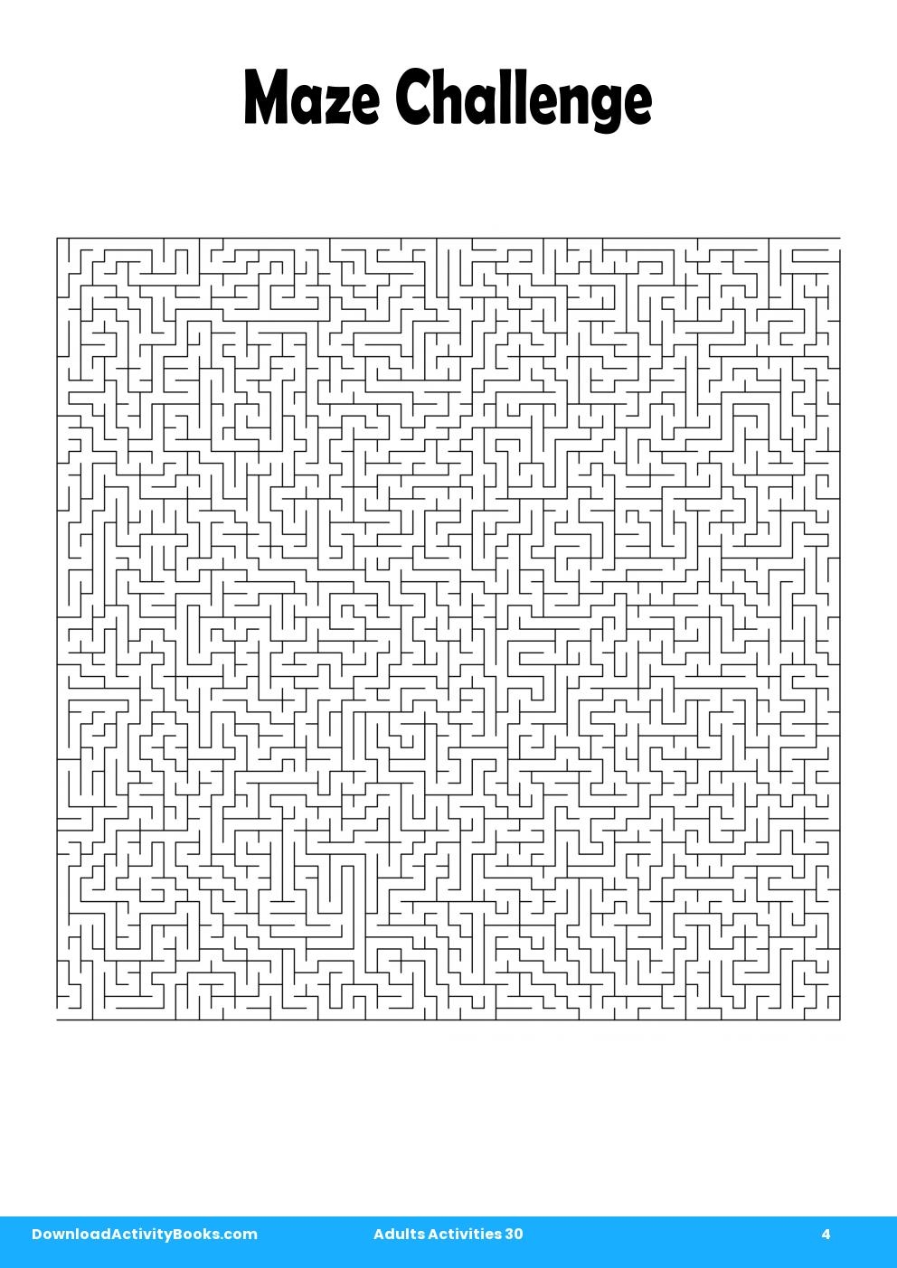 Maze Challenge in Adults Activities 30