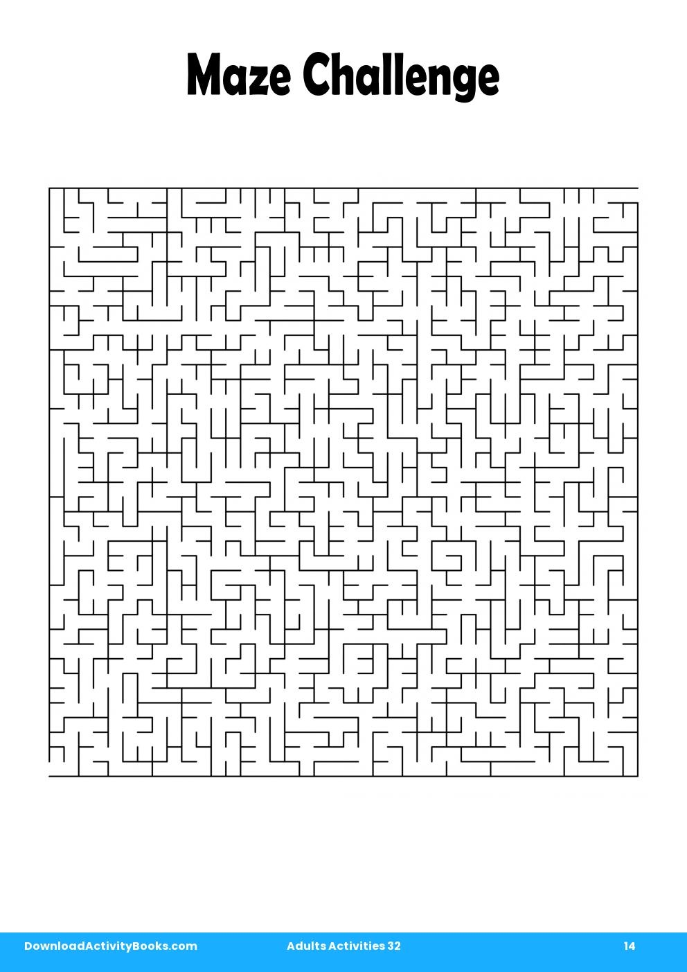 Maze Challenge in Adults Activities 32