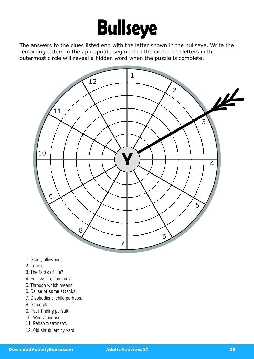 Bullseye in Adults Activities 37