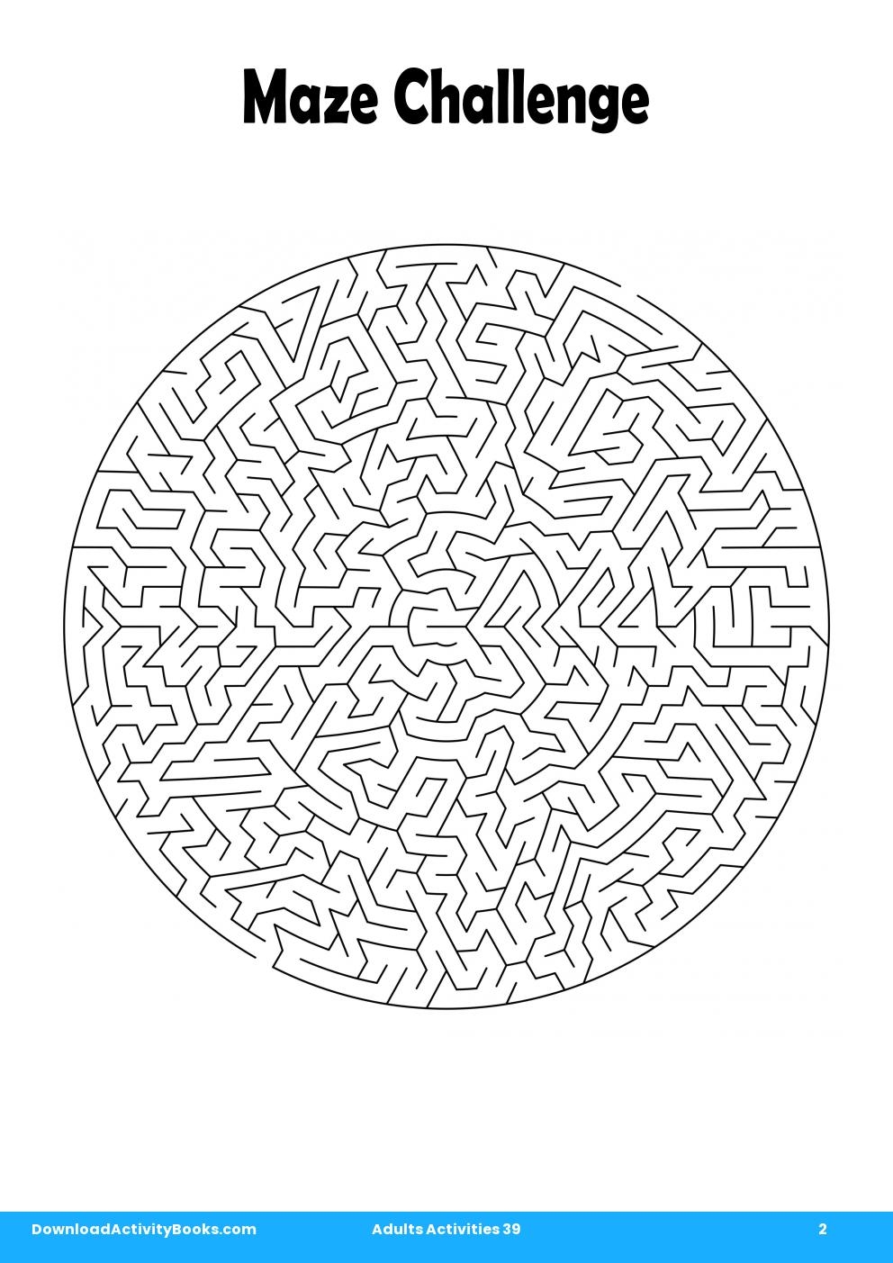 Maze Challenge in Adults Activities 39