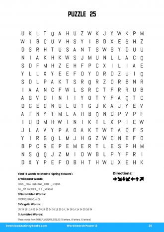 Word Search Power #25 in Word Search Power 12