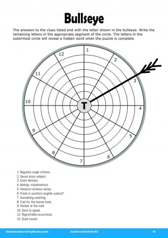 Bullseye #14 in Adults Activities 52