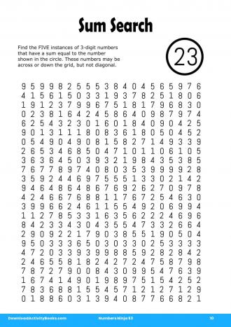 Sum Search #10 in Numbers Ninja 53