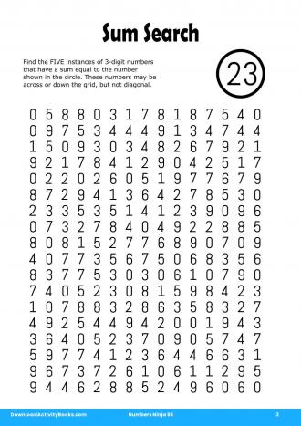 Sum Search #3 in Numbers Ninja 55