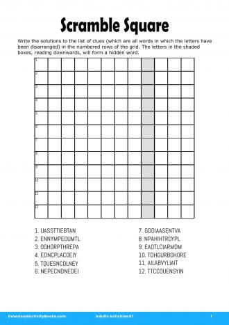 Scramble Square #1 in Adults Activities 57