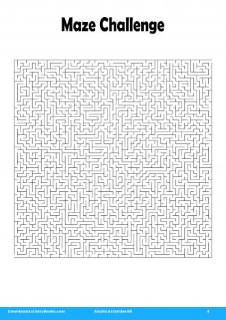 Maze Challenge in Adults Activities 59