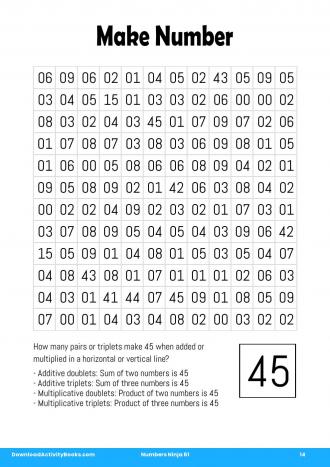 Make Number #14 in Numbers Ninja 61