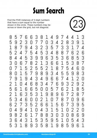Sum Search #30 in Numbers Ninja 61