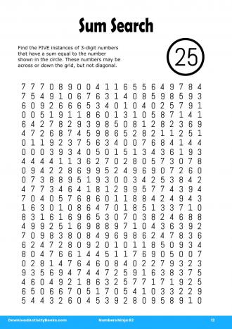 Sum Search #12 in Numbers Ninja 62