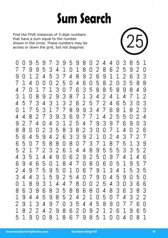 Sum Search #16 in Numbers Ninja 63