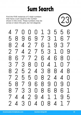 Sum Search #23 in Numbers Ninja 69