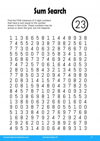 Sum Search #17 in Numbers Ninja 70
