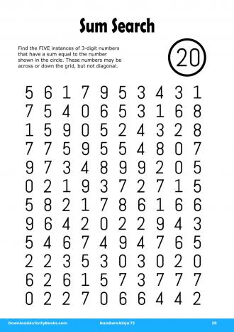 Sum Search #20 in Numbers Ninja 72