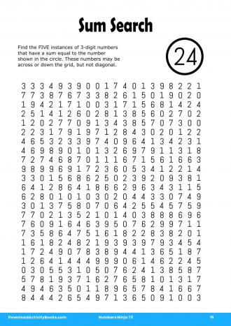 Sum Search in Numbers Ninja 73