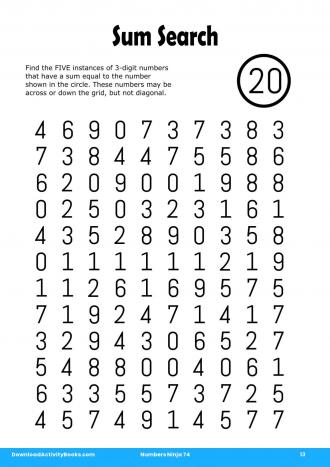 Sum Search #13 in Numbers Ninja 74