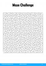 Maze Challenge in Adults Activities 6