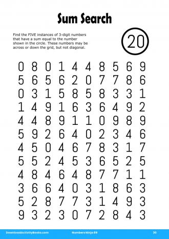 Sum Search #30 in Numbers Ninja 89