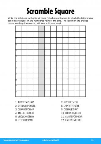 Scramble Square #24 in Adults Activities 12