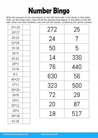 Number Bingo in Adults Activities 96