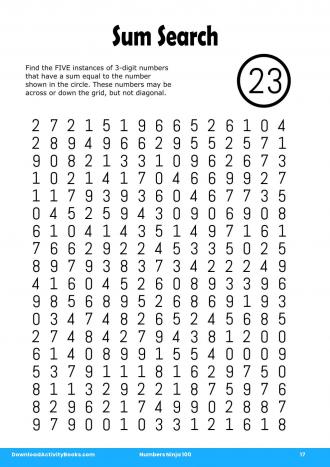 Sum Search #17 in Numbers Ninja 100