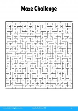 Maze Challenge in Adults Activities 102