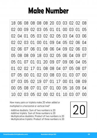 Make Number in Numbers Ninja 102