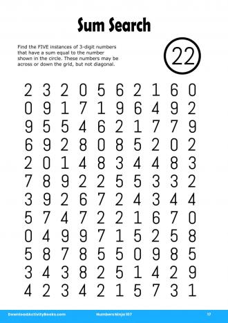 Sum Search #17 in Numbers Ninja 107