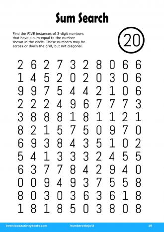 Sum Search #28 in Numbers Ninja 13
