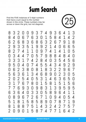 Sum Search #6 in Numbers Ninja 111