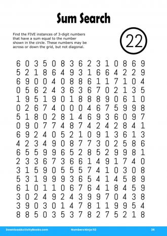 Sum Search in Numbers Ninja 112