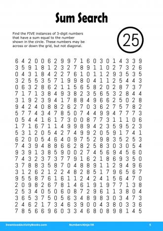 Sum Search #5 in Numbers Ninja 116