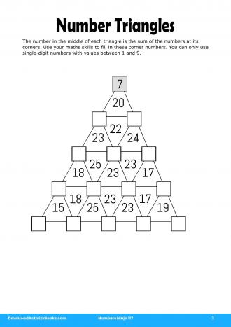 Number Triangles in Numbers Ninja 117