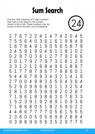 Sum Search #24 in Numbers Ninja 14