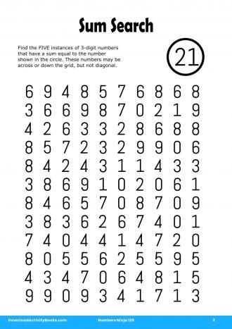 Sum Search #3 in Numbers Ninja 120