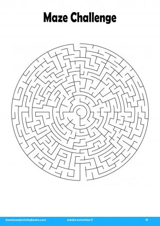 Maze Challenge in Adults Activities 17