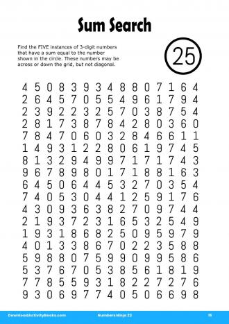 Sum Search #15 in Numbers Ninja 22