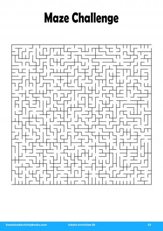 Maze Challenge #23 in Adults Activities 25