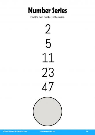 Number Series in Numbers Ninja 28