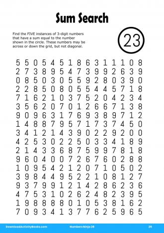 Sum Search #29 in Numbers Ninja 28