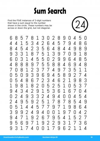 Sum Search in Numbers Ninja 29