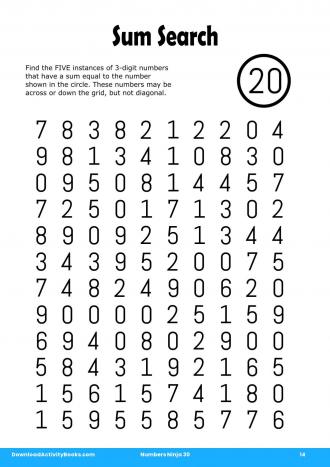 Sum Search #14 in Numbers Ninja 30