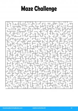 Maze Challenge #14 in Adults Activities 32