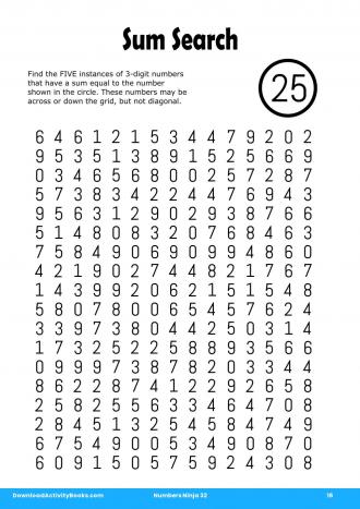 Sum Search in Numbers Ninja 32