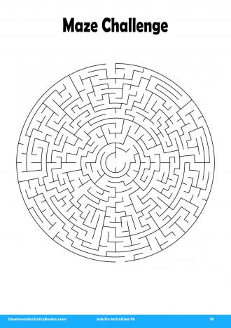 Maze Challenge #19 in Adults Activities 35