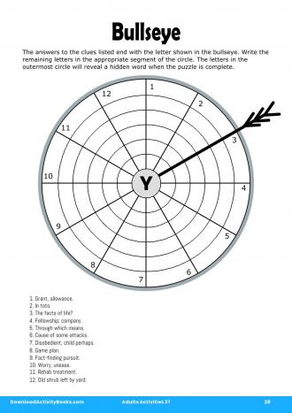 Bullseye #28 in Adults Activities 37